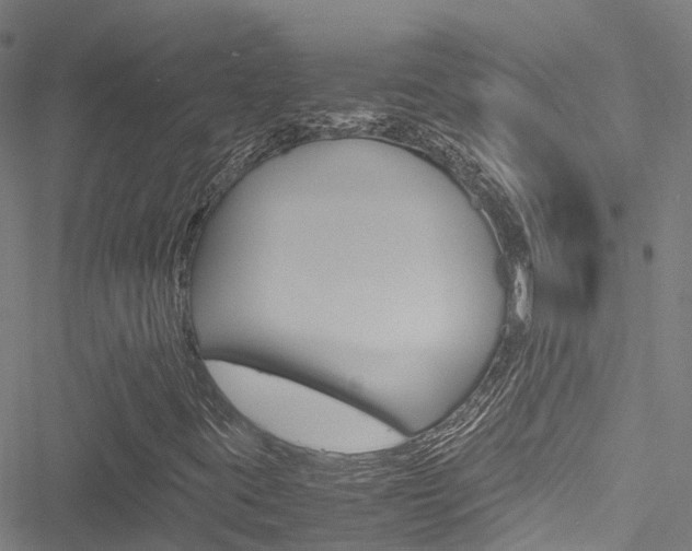 X0000051271395200506170829