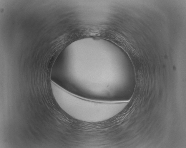 X0000051271442200506170829