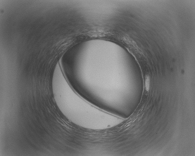 X0000051271444200506170829