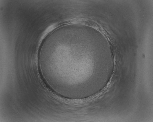 X0000051270006200506171238