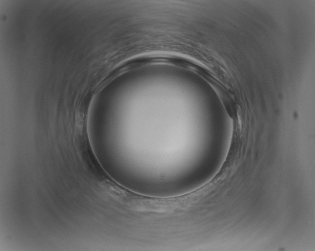 X0000051270033200506171238