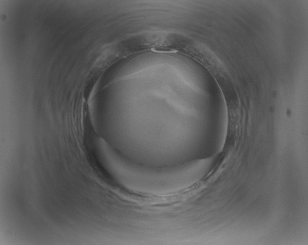 X0000051270035200506171238