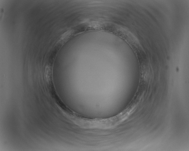 X0000051270036200506171238