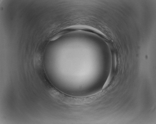 X0000051270037200506171238