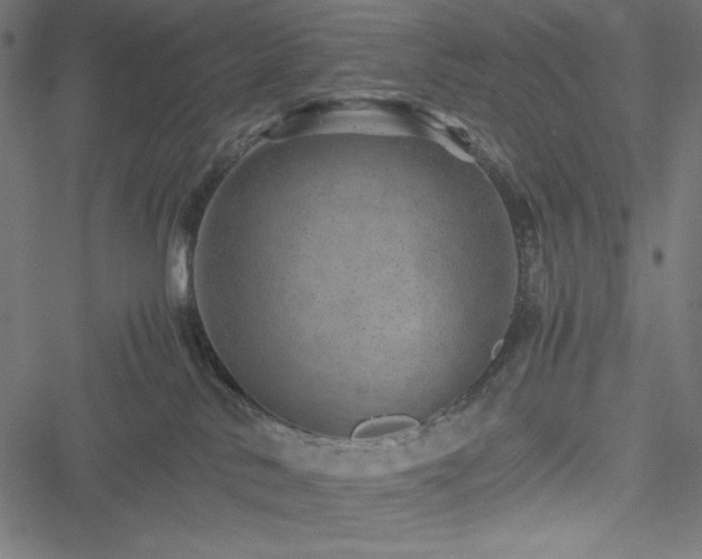 X0000051270042200506171238