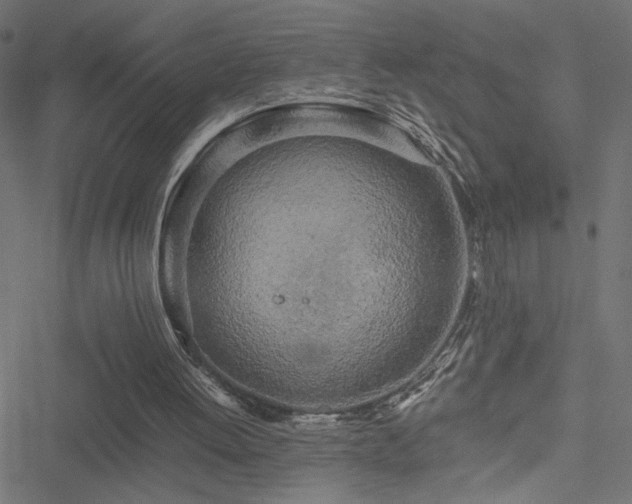 X0000051270052200506171237