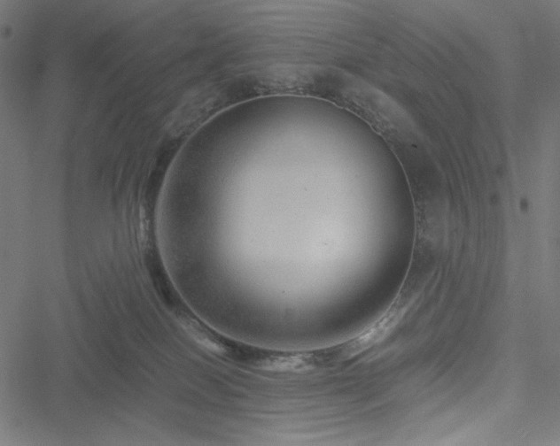 X0000051270086200506171237