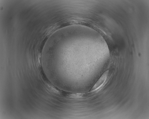 X0000051270094200506171238