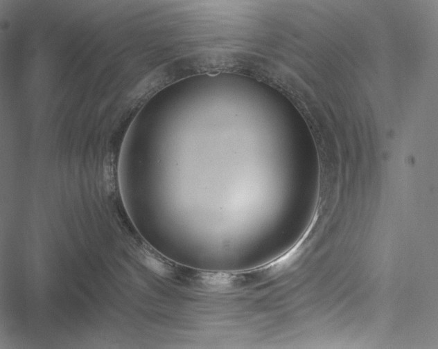 X0000051270144200506171236