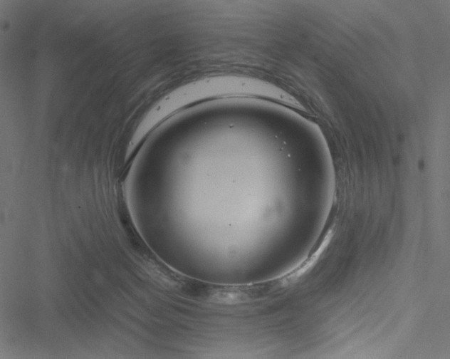 X0000051270174200506171236