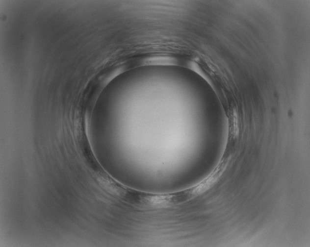 X0000051270184200506171236