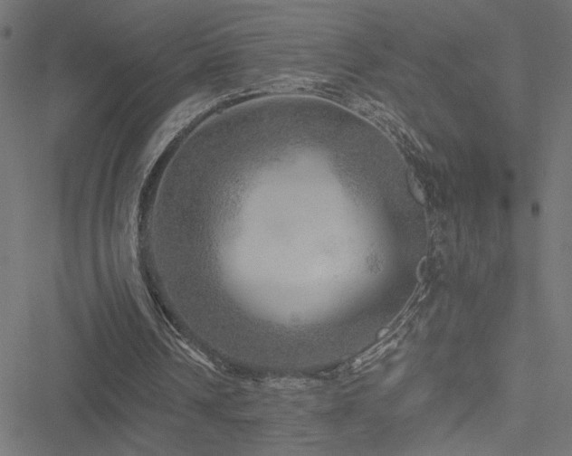 X0000051270242200506171234