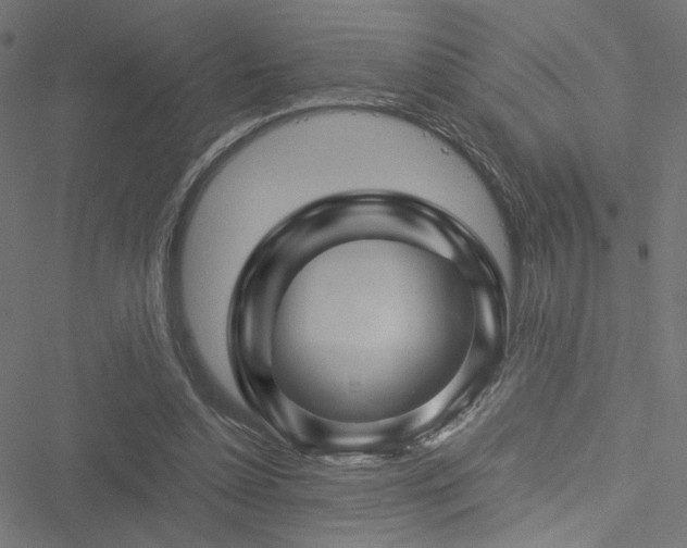 X0000051270348200506171232