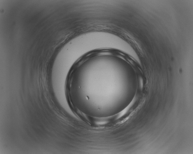 X0000051270362200506171232
