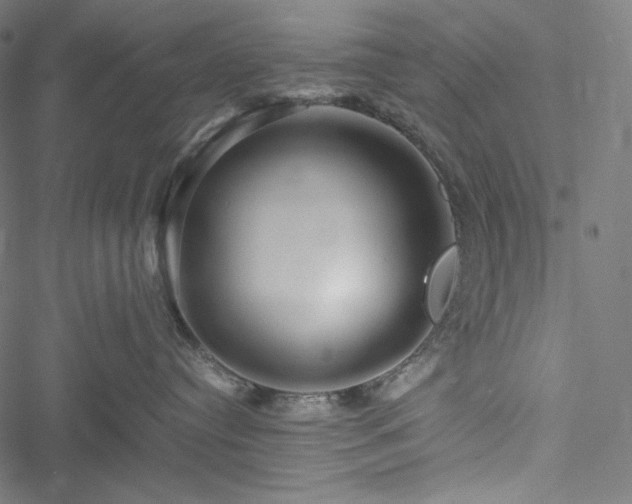 X0000051270384200506171233