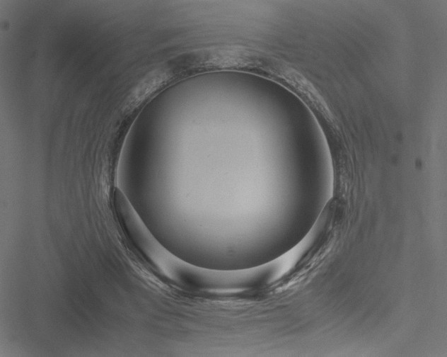 X0000051270393200506171232