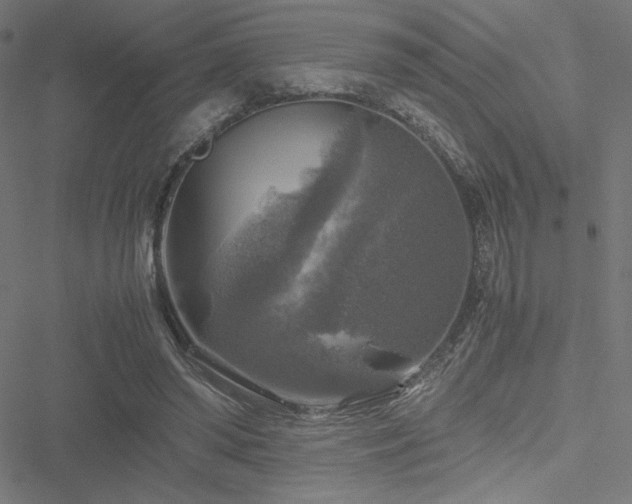 X0000051270398200506171232