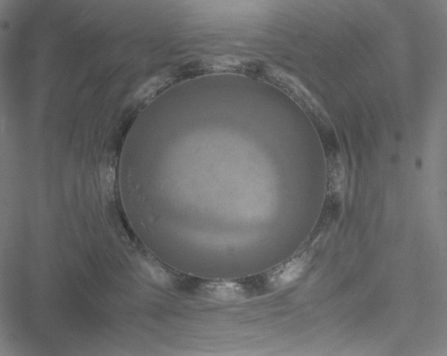 X0000051270427200506171231