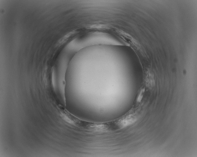X0000051270428200506171231