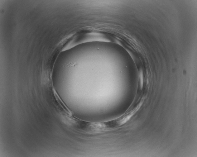 X0000051270429200506171231