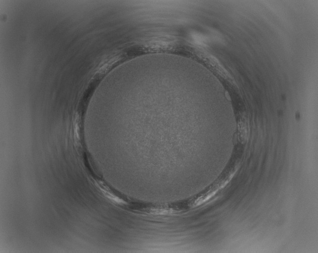 X0000051270458200506171231