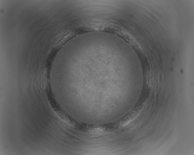 X0000051270594200506171229