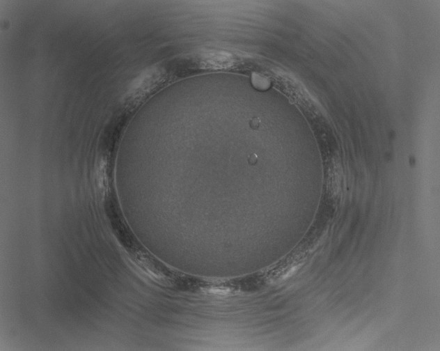 X0000051270598200506171228