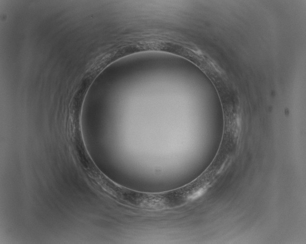 X0000051270599200506171228