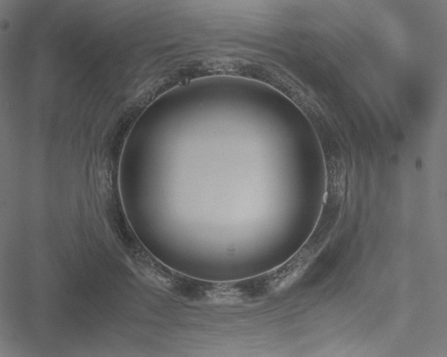 X0000051270603200506171228