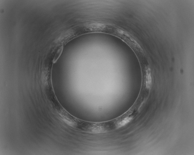 X0000051270604200506171228