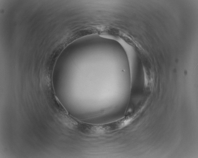 X0000051270613200506171228