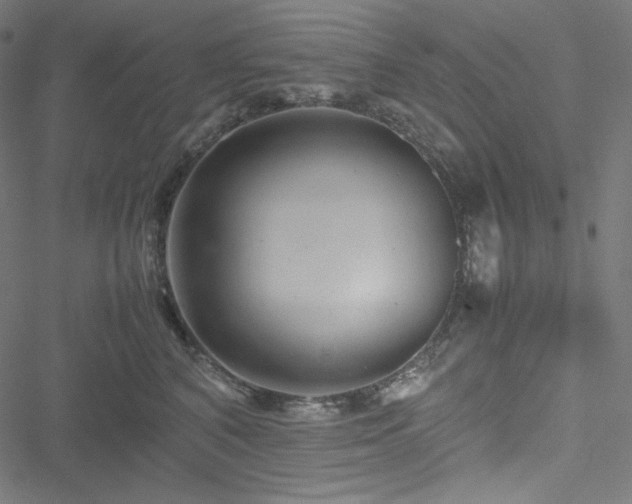 X0000051270616200506171228