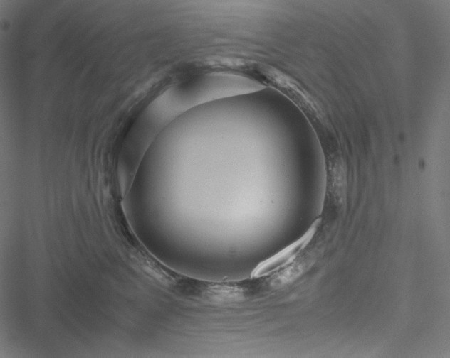 X0000051270617200506171228