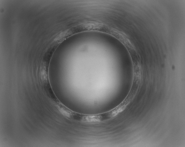 X0000051270622200506171228