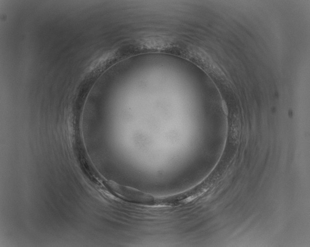 X0000051270639200506171228