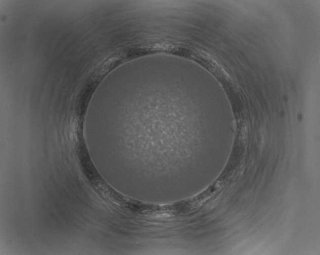 X0000051270643200506171228