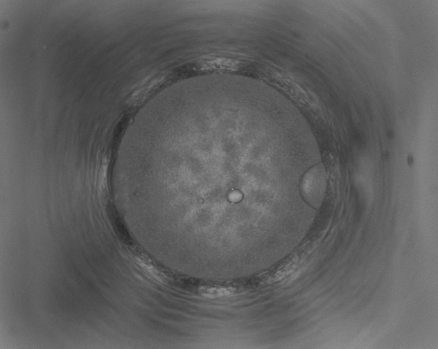 X0000051270649200506171228