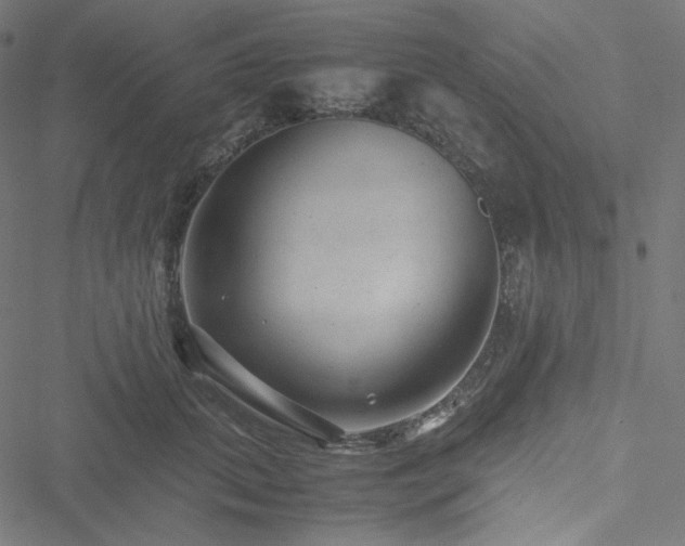 X0000051270655200506171228