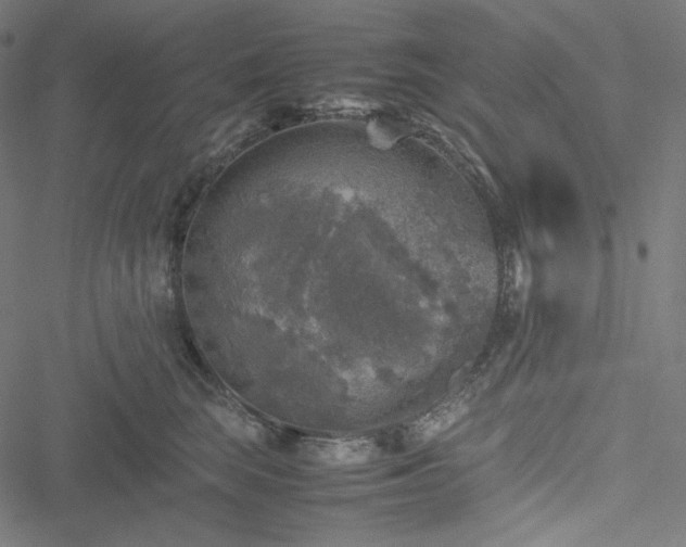 X0000051270663200506171228