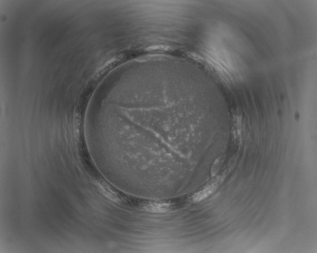 X0000051270664200506171228