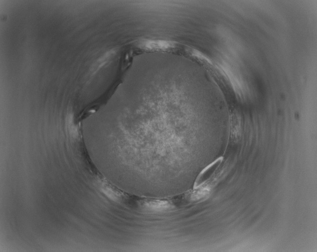 X0000051270669200506171228