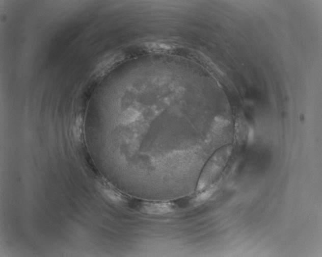 X0000051270671200506171228