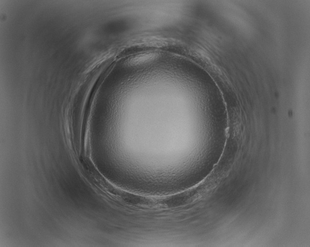 X0000051270683200506171227