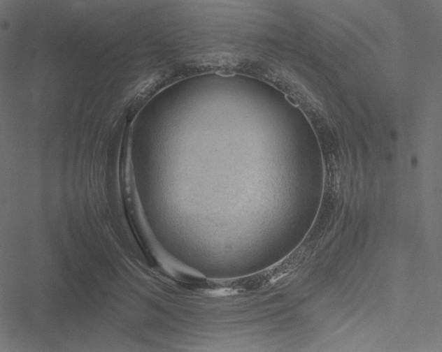 X0000051270692200506171227
