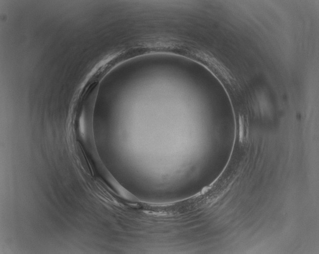 X0000051270723200506171226