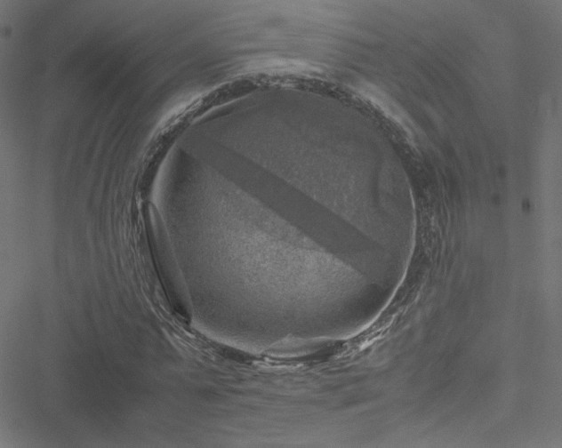 X0000051270775200506171226