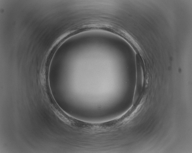 X0000051270787200506171225