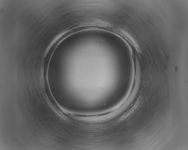 X0000051270788200506171225