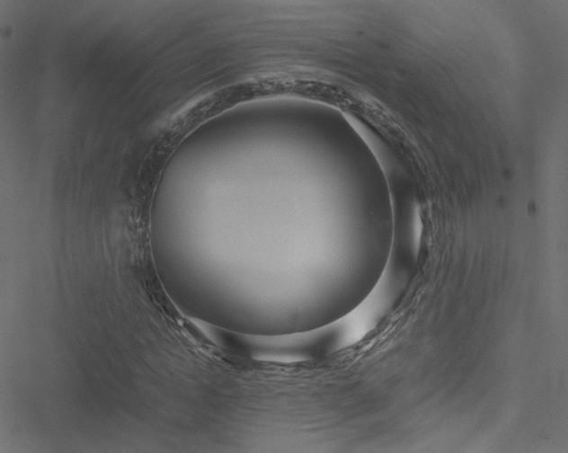 X0000051270822200506171224