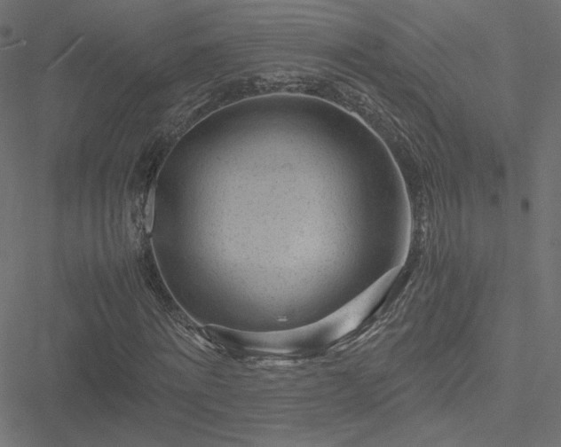 X0000051270868200506171224